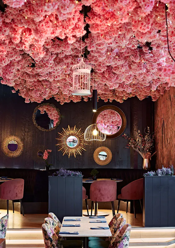 Blossom Room
