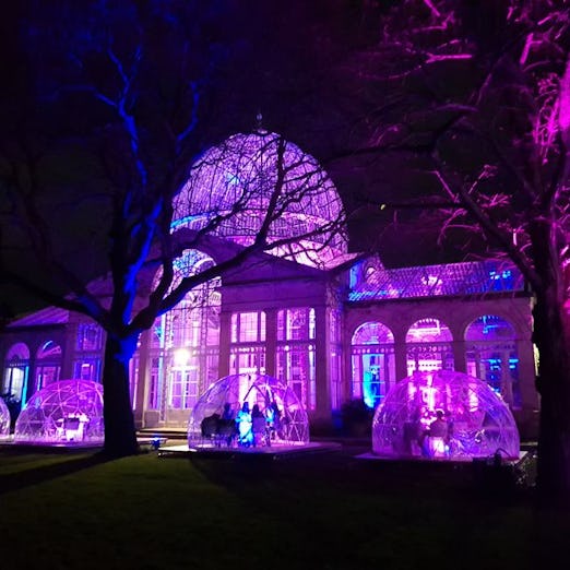 Syon House Igloos