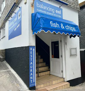 Balancing Eel