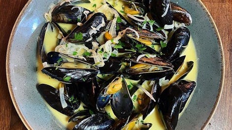 The Olive Tree - Bude