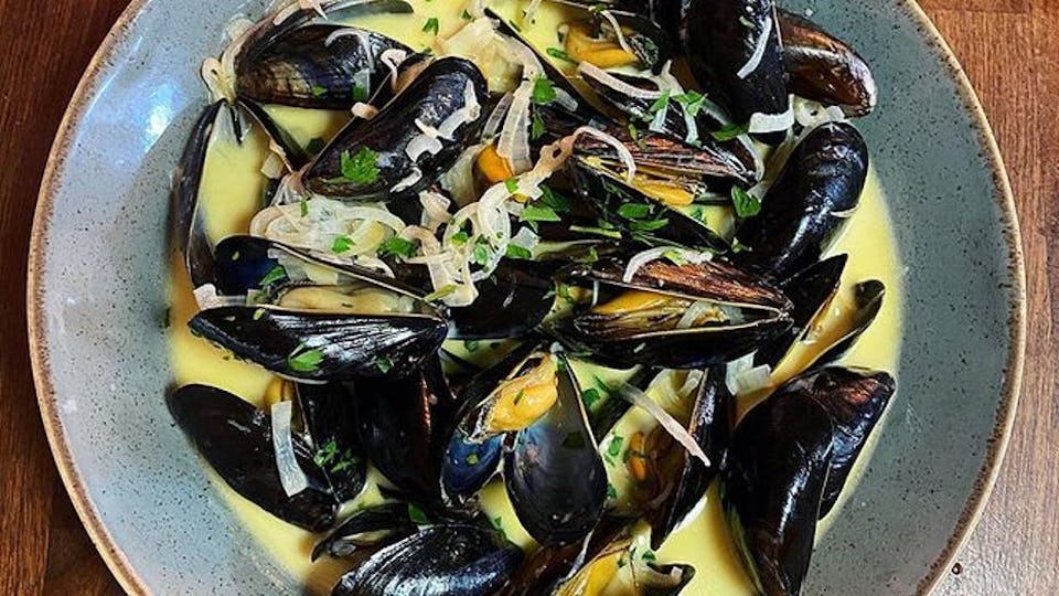 The Olive Tree - Bude