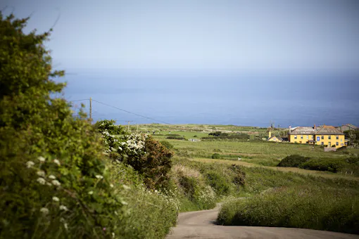 The Gurnard's Head