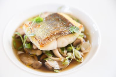 The Gurnard