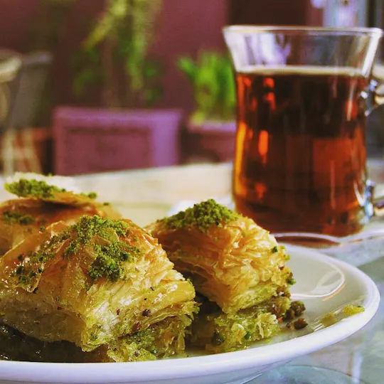 Toprak Ocakbasi