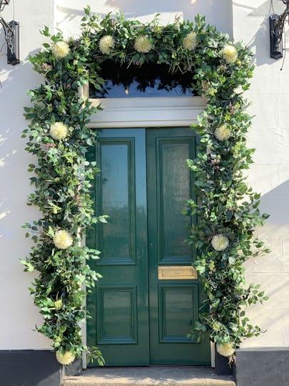 The Hop Vine