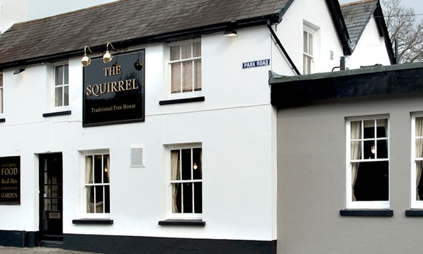 Squirrel Farnborough