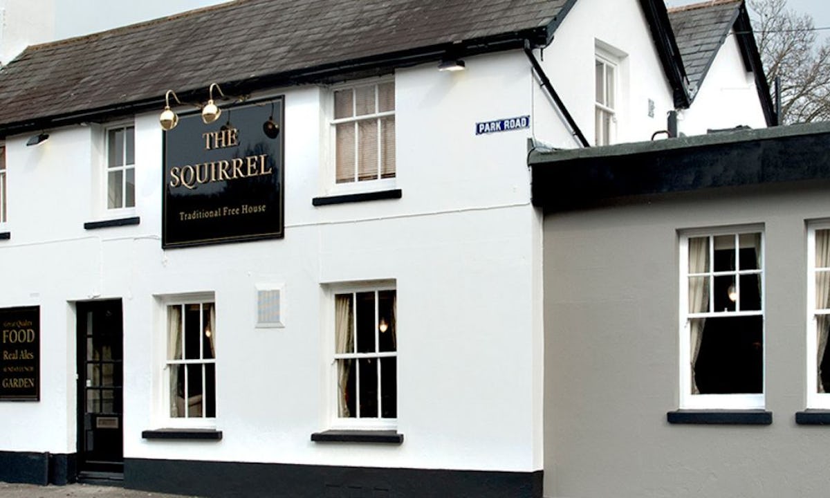 Squirrel Farnborough