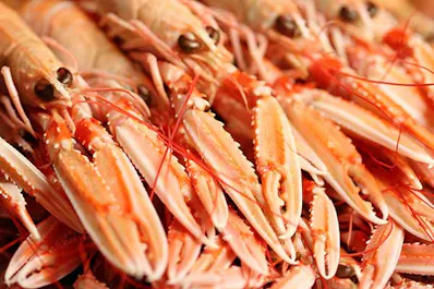 Waterside Seafood Restaurant Skye