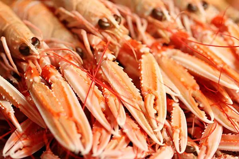 Waterside Seafood Restaurant Skye