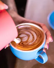 Zebra Coffee Co