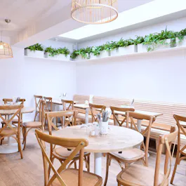 Nue Ground Elephant & Castle