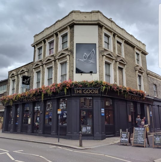 Goose Fulham