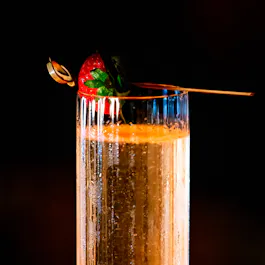 Luna Gin Bar