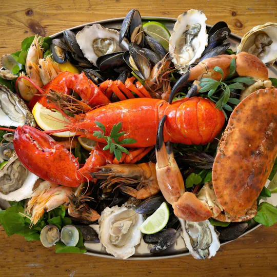 The Copper Clam