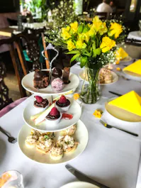 Afternoon Tea at Alexanders