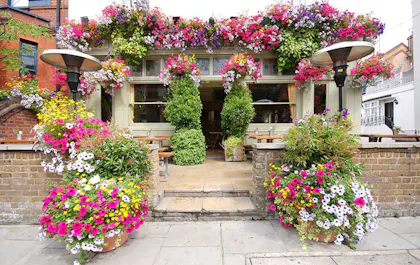 The Ladbroke Arms