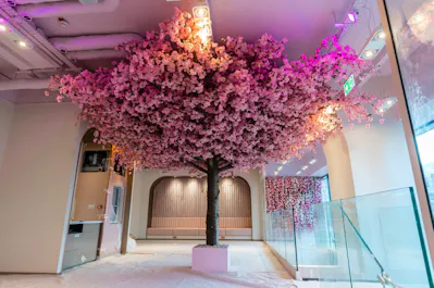 Haute Dolci Wembley