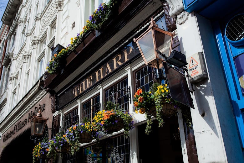 The Harp