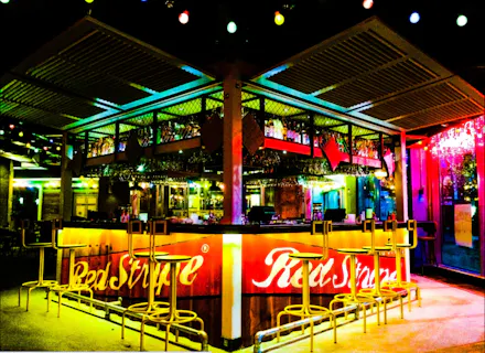 Turtle Bay Cheltenham 