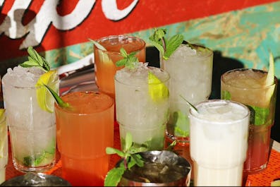 Turtle Bay Cheltenham 