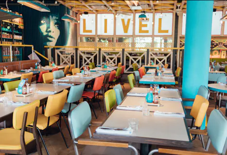 Turtle Bay Plymouth