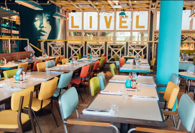 Turtle Bay Plymouth