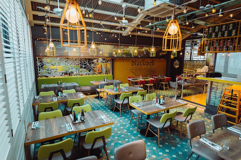 Turtle Bay Winchester 
