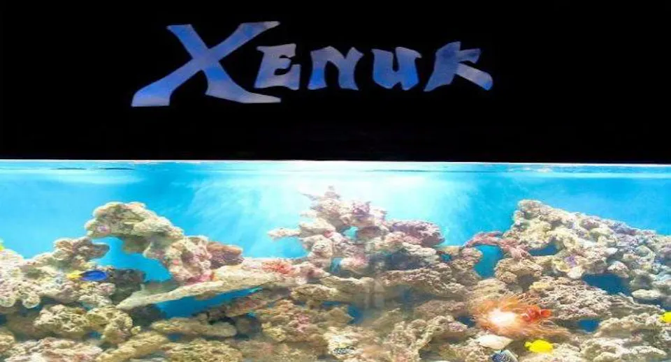 Xenuk Tandoori