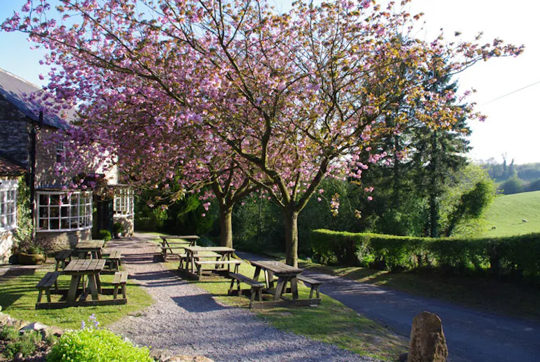 The Black Swan at Oldstead