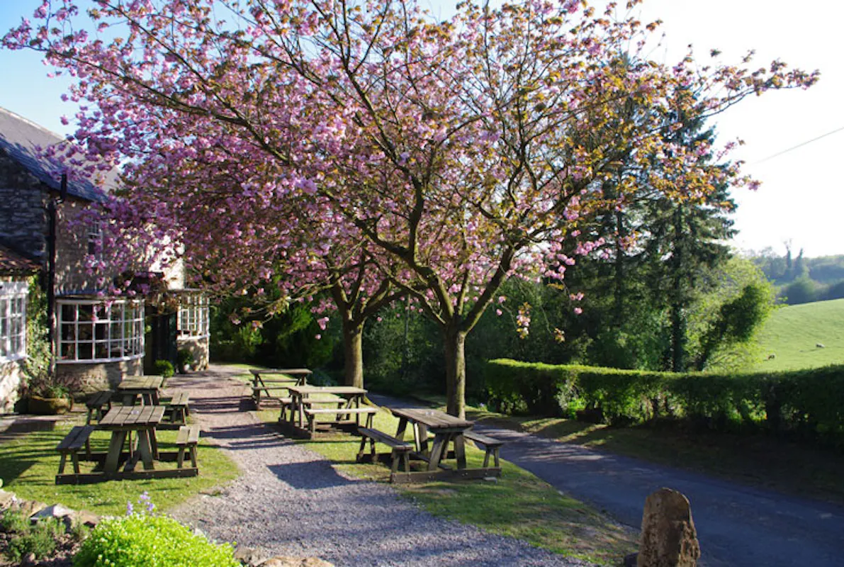 The Black Swan at Oldstead