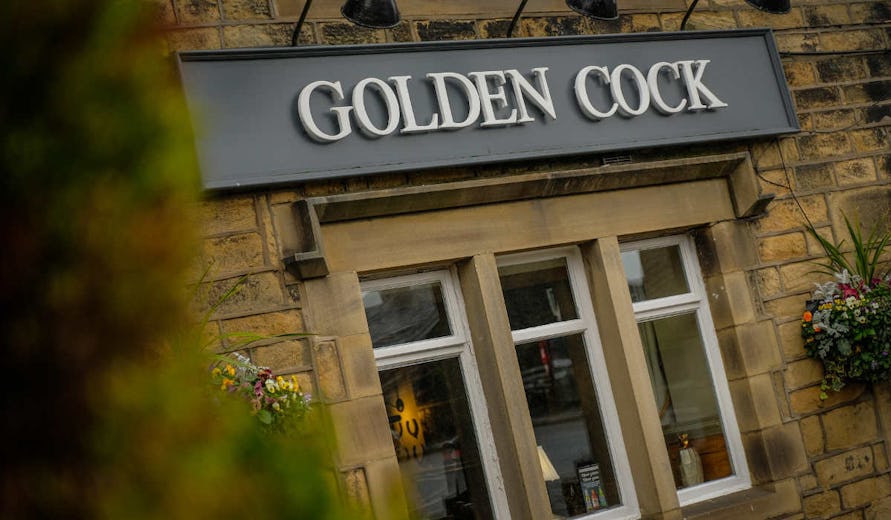 Golden Cock