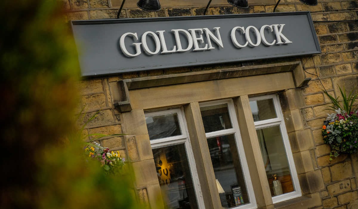 Golden Cock