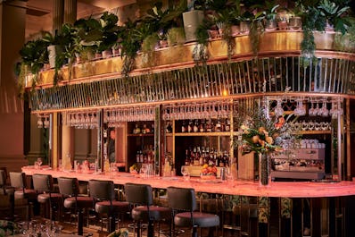 The Ivy Exeter