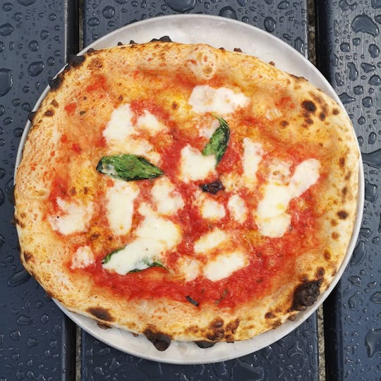 Pizza PLS