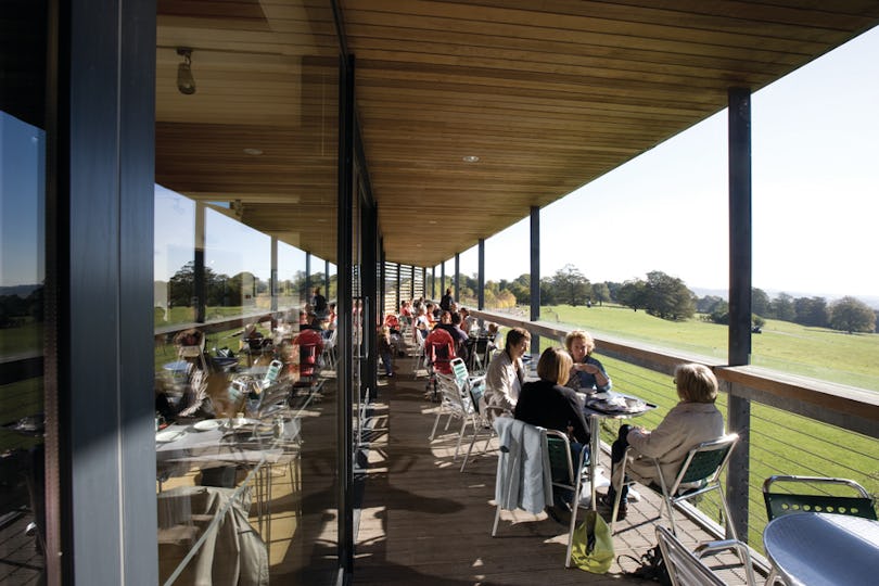 YSP Cafe