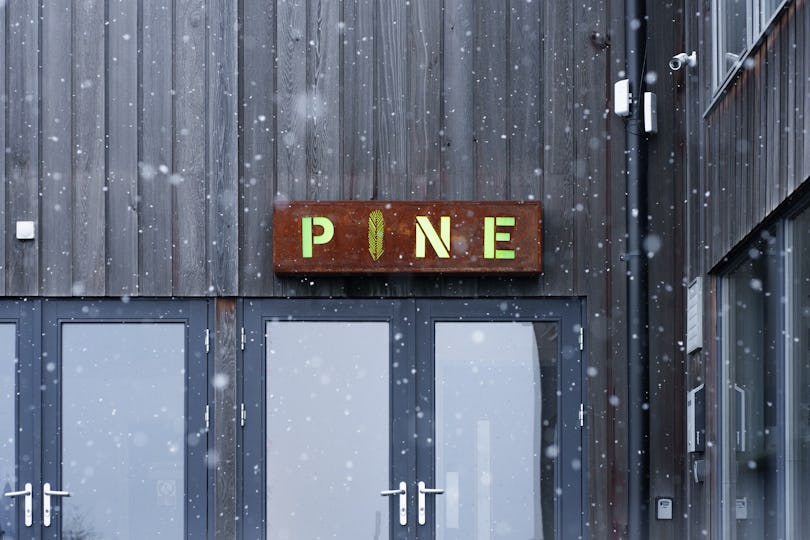 Pine