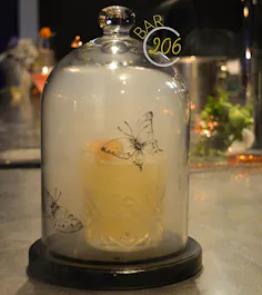 Bar206