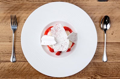 Provender Melrose