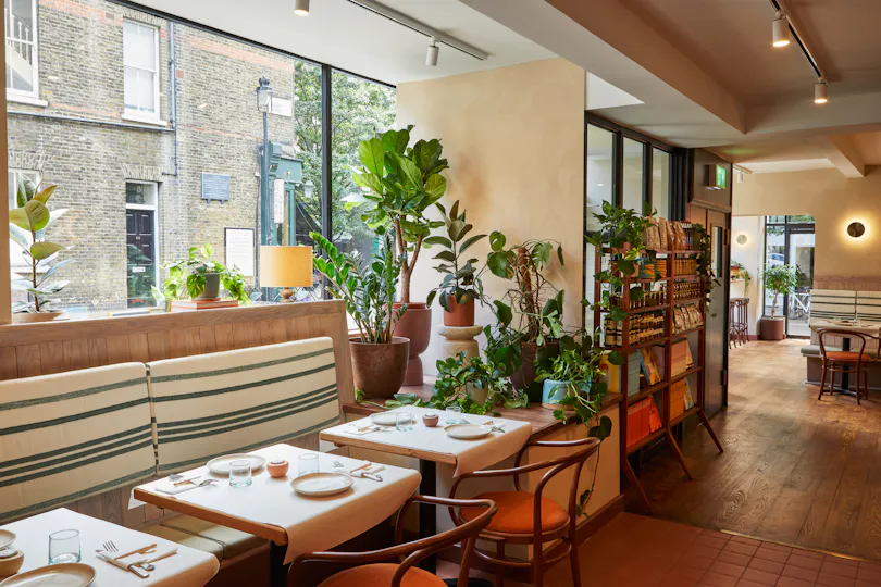 Honey & Co Bloomsbury