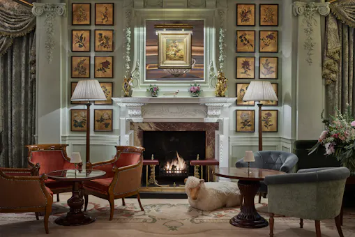 The Goring Bar