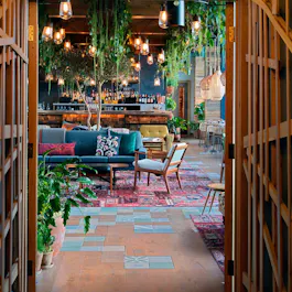 The Nest in Treehouse