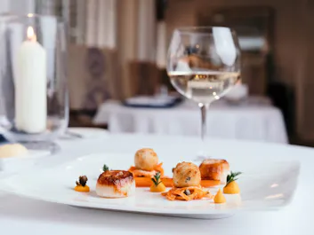 Ocean Restaurant at The Atlantic Hotel