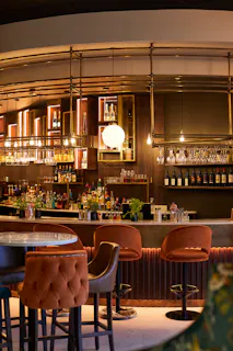 Newton's Bar