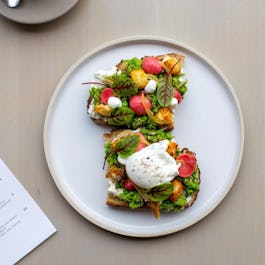 The Early Bird Bakery