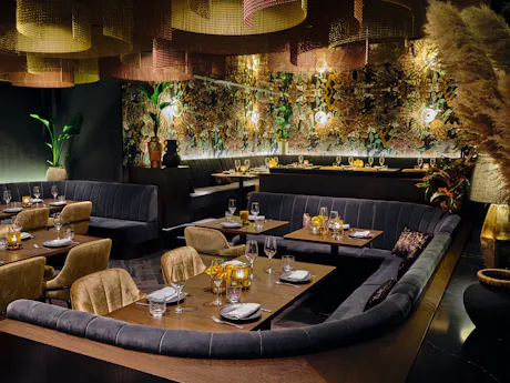 750 Points for evening diners