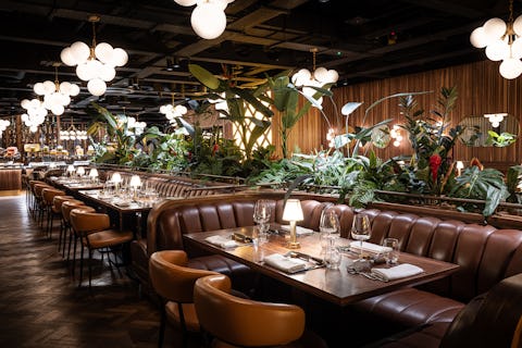 Fazenda London