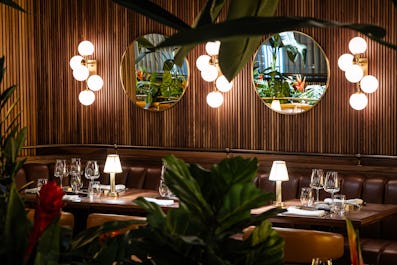 Fazenda London