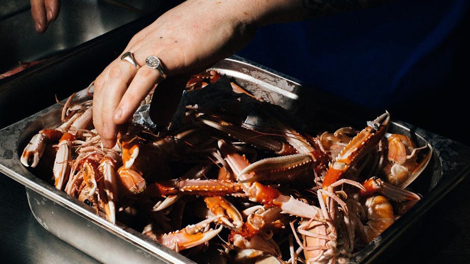 Papi, London - Restaurant Review, Menu, Opening Times