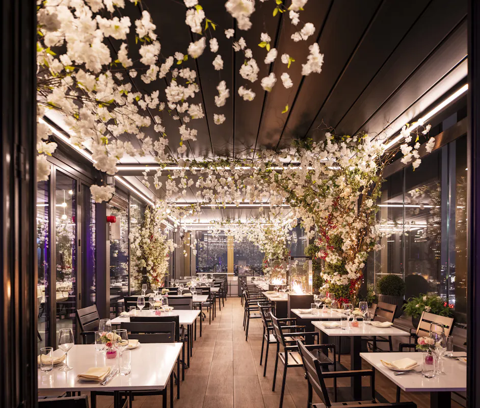 STK Rooftop Steakhouse & Bar