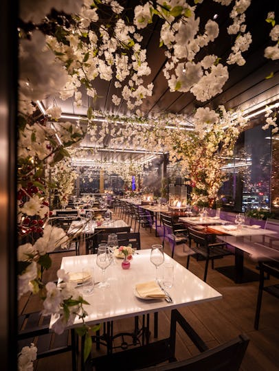 STK Rooftop Steakhouse & Bar